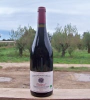 Domaine Pons Gralet - Vin Rouge IGP - AOP Cotes du Roussillon Villages Tautavel 2023 Bio x3
