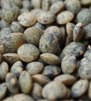 Mon Petit Producteur - Lentilles Vertes Bio [vendu Par 500 g]+