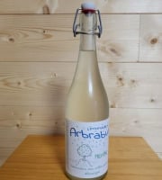 L'Auvergnat - Limonade menthe  75cl