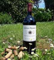 Vignobles Brunot - Saint-Emilion Grand Cru Rouge - Château Piganeau 2022 - 150cl