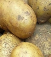 Mon Petit Producteur - Pomme De Terre Bio NOUVELLE MAIWEN - Variété À Chair Tendre [vendu Par 2.5 Kg]+