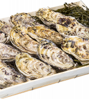 Les Huîtres Chaumard - Huîtres De Paimpol  - 5 Douzaines De 2 (60 Huîtres)