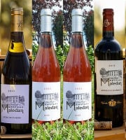 Vignobles Brunot - Box Blanc + Rosé + Rouge - Château Maledan - 6x75cl