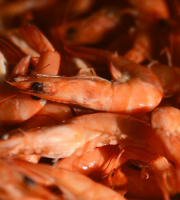 Thalassa Tradition - Crevettes Tropicales roses 30/50 2kg