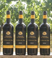 Domaine la Paganie - Vin rouge en Réserve Perpétuelle - Réserve des Henry 2022 - 6 bouteilles