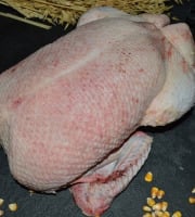 Canards de la Maison Gérard Burgaud - Canard Challandais au Sang Burgaud Prêt à Cuire