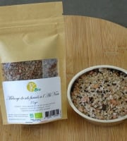 TK Bio - The Kefir et Kombucha Compagnie - Mélange de Sels fumés à l’ail noir BIO 75 gr