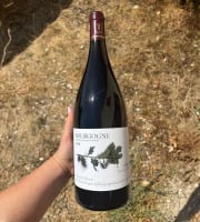 Domaine Céline Coté - Bourgogne Julia 2023 Magnum