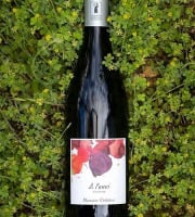 Domaine Childéric - Vin Rouge AOC Ventoux - A l'Envi 2022