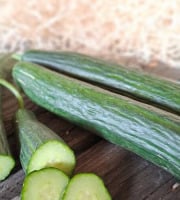 Les Jardins de Gérard - Concombre long Bio - 1 pièce