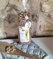 Pat'O Blé - Pâtes Bio Cornette (BLES ANCIENS) 500g