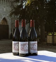 Bonas Lisse Vignoble - Marquis de Bonas Rouge 2016 - IGP Agenais x3