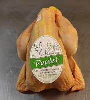 La Famille Mille - Le Maraudeur - Carton de 8 Poulets Plein Air, prêt à cuire, 2kg - 1,7kg