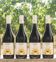 Domaine la Paganie - Vin rouge nature – Démarrage en COT– 6 bouteilles