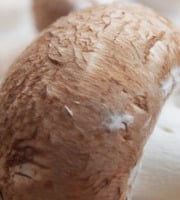 Mon Petit Producteur - Champignon De Paris Brun Bio - [vendu Par 350 g]
