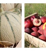 Domaine Reverchon - Melons 5kg  + 5kg de Pêches jaunes