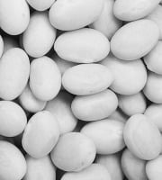 Mon Petit Producteur - Haricot Navy blanc bio [vendu Par 500 g]+