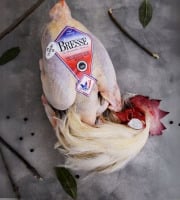 Volailles Morand - Lot de 2 poulets de Bresse AOP PAC aves tête et pattes