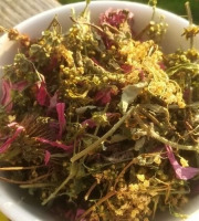 La Cabane à plantes - Infusion Résistance