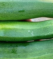 ChâteauFer - Courgette