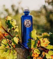 Maison Mounicq - Gin Avem Hippolais