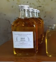 La Cabane à plantes - Sirop de Romarin 20cl