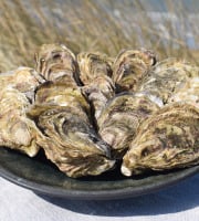 Huître de Normandie - Huîtres Fines No.5 de Normandie, LAFOSSE - 48 Pièces