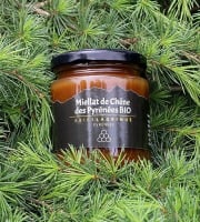 Abies Lagrimus - Miellat de Chêne des Pyrénées - 315g