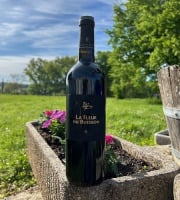 Domaine du Buisson - Vin rouge AOP Bordeaux supérieur - 2022 - élevé en barriques - 6x75cl