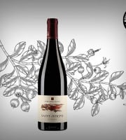 Boucherie Moderne - Vin rouge Le Passage - Saint-Joseph 75cl