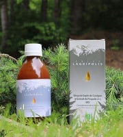Abies Lagrimus - Sirop de Sapin et Propolis Bio - Complément alimentaire Lagripolis 25cl