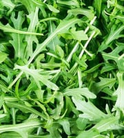 Truffes des Roches - Roquette sauvage - botte de 350g