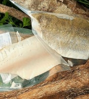 Aquaverdier - Pavé de Sandre avec Peau 150g