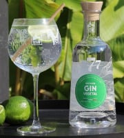 Distillerie de la Seine - Gin Végétal 70cl