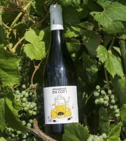 Domaine la Paganie - Vin Rouge nature - Démarrage en COT - 1 bouteille