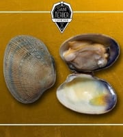 Saint Kerber - Cancale - Palourdes - calibre Moyennes - barquette de 1kg