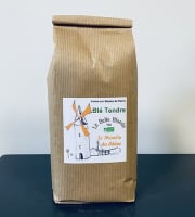 Laiterie de Pamplie - Farine De Blé Tendre BIO