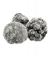 JMC Truffes - Brisure de truffe noire tuber melanosporum 100 g
