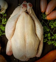 Boucherie Moderne - Poulet fermier - 2kg