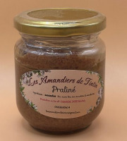 Les Amandiers de TinTin - Praliné 150g