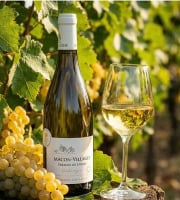 Domaine ROUX-GROS - Mâcon Villages "Terroir de Farges"- Sélection Vieilles Vignes 2023 6x75cl