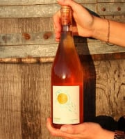 La Balle - Vin nature Rosé La Balle - La Balnéaire  75clx6