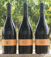 Domaine la Paganie - Vin rouge élevé en Amphore - LA TERRE 2023 - 3 bouteilles
