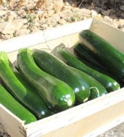 Domaine Reverchon - Courgettes 1kg