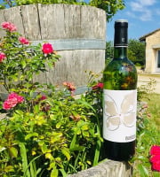 Domaine du Buisson - Vin blanc AOP Bordeaux - 2025 - 1x75cl