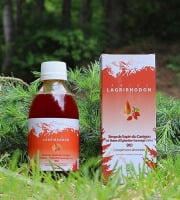 Abies Lagrimus - Sirop de Sapin & Baies d’églantier sauvage Bio - Complément alimentaire Lagrirhodon 25cl