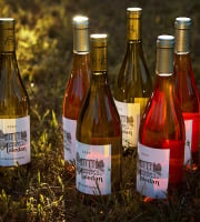 Vignobles Brunot - Box Blanc + Rosé 2025 - Château Maledan - 6x75cl
