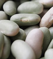 Mon Petit Producteur - Flageolet Bio [vendu Par 500 g]+