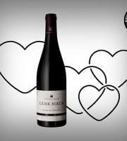Boucherie Moderne - Vin rouge Âme sœur Seyssuel - 75cl