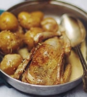 Le Pigeon Barrois - 4 à 6 Pigeonneaux non calibrés prêts à cuire